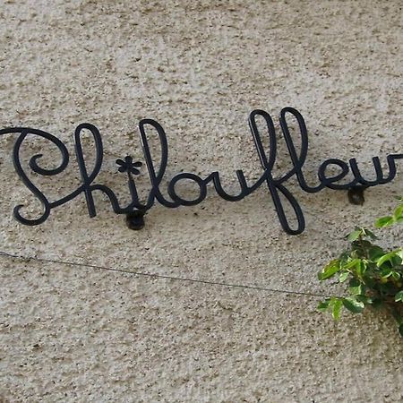 Philoufleur - Gite Restaure En Campagne Chaneins Exterior foto