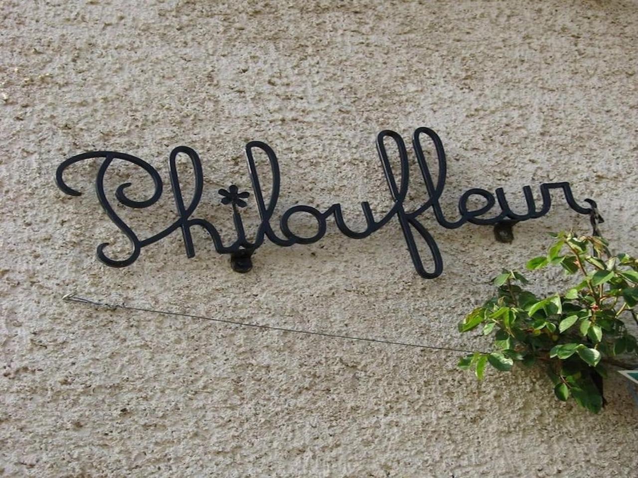 Philoufleur - Gite Restaure En Campagne Chaneins Exterior foto